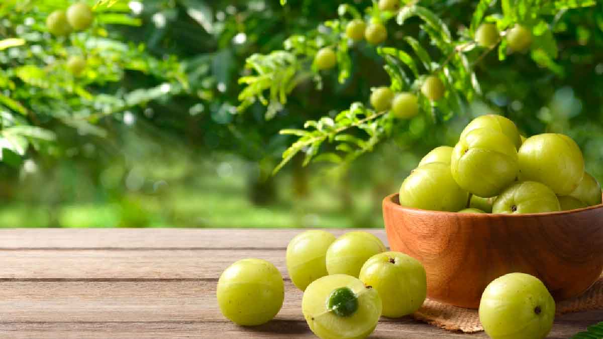 health benefits of eating amla on empty stomach 