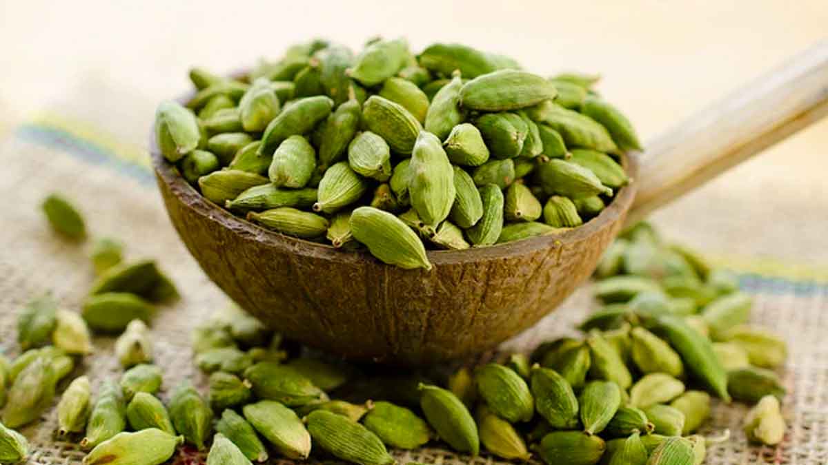 why take cardamom before sleep many health benefits 