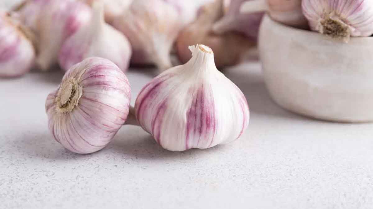 99 percent of people do not know how to take garlic 